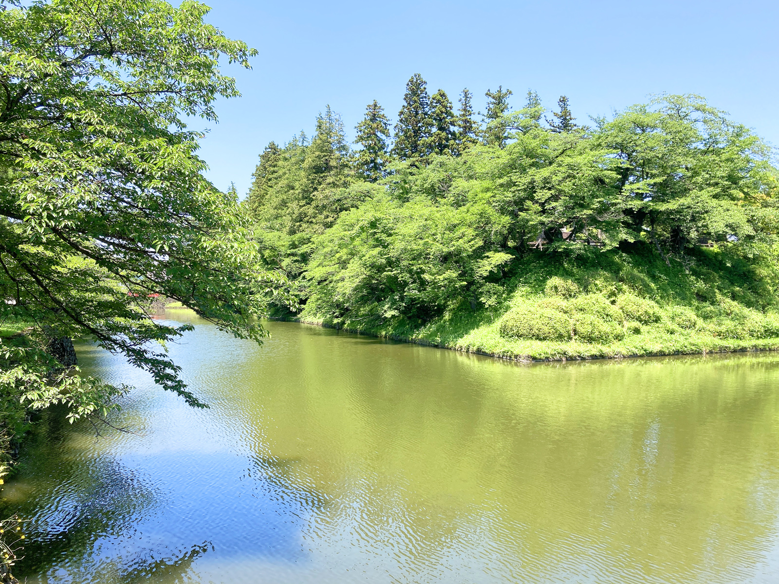 米沢市・松が岬公園の四季・夏